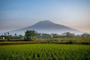 An agricultural field with Mount Arjuna in the background, a stratovolcano in the province of East Java in Java, Indonesia. photo