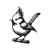 Custom Crested Tit Bird Silhouette Vectors Pack for Digital and Print Use