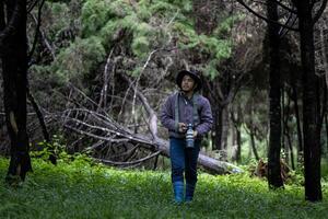 Photographer is taking photo of the new discovering bird species while exploring in dense pine forest for surveying and locating rare biological diversity and ecologist on field study usage