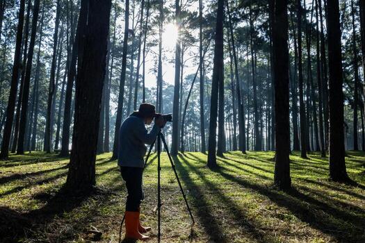 fotógrafo es tomando foto en trípode de el nuevo descubriendo pájaro especies mientras explorador en el pino bosque para topografia y localizando raro biológico diversidad y ecologista en campo estudiar uso