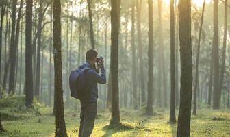 Photographer is taking photo of the new discovering bird species while exploring in the pine forest for surveying and locating rare biological diversity and ecologist on field study usage