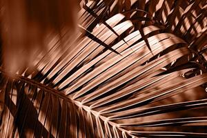 Mocha Mousse - color of the year 2025. palm trees background photo