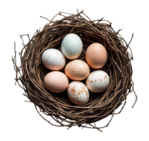 Natural bird's nest holding seven speckled Easter eggs, arranged on a transparent background, symbolizing nature, life, and new beginnings png