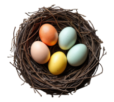 Vibrant Easter eggs of various colors resting in a natural, rustic bird's nest on transparent background, symbolizing spring and renewal png