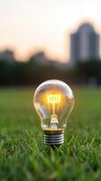 close up lightbulb on green grass with sunset and bokeh background. photo