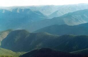 mountains of the sayans. The nature of the mountains is sayan. Vegetation in the mountains photo