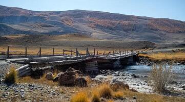An old wooden bridge over a mountain river in Altai. photo