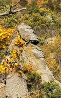 Rocks in Crimea. The rocks of rocks of Crimea. The output of limestone sediment photo