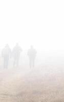 People in fog are walking across the field. Fog on the field photo