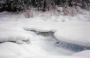 Ice and snow on the river. Melting snow in spring on the reservoir. photo