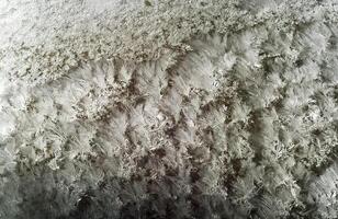 Frost and snow on autumn frost. First frosts photo