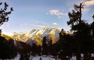 mountains of the sayans. The nature of the mountains is sayan. Vegetation in the mountains photo