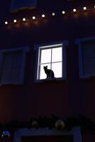 el silueta de un adorable gato descansando pacíficamente en un ventana durante un calma noche foto