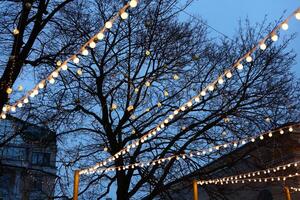 A Beautifully Illuminated Evening Scene Featuring Trees Decorated with String Lights photo