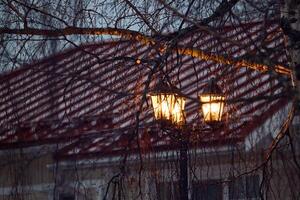Cozy Lanterns That Glow Brightly Through Rainy Branches Create a Magical Atmosphere photo