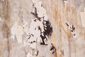 An Abstract Texture Demonstrating Dark Strands Set Against a Marble Surface Background photo