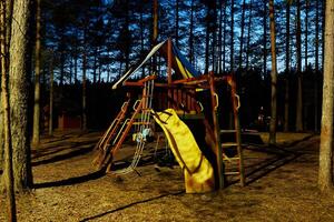 A beautifully lit nighttime playground scene that is lovingly surrounded by tall pine trees photo