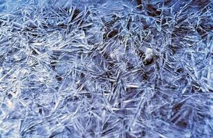 Snow and frost on tree branches and on grass. Winter in Sayan, nature Russia. photo