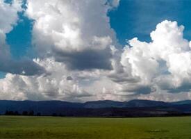 mountains of the sayans. The nature of the mountains is sayan. Vegetation in the mountains photo