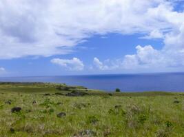 nature of Easter Island, landscape, vegetation and coast. photo