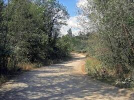 Beloretsky tract. Nature is in the way of the Beloretsky tract. Roads and landscape. photo