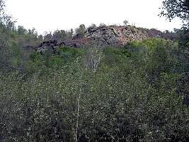 Beloretsky tract. Nature is in the way of the Beloretsky tract. Roads and landscape. photo