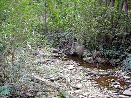Beloretsky tract. Nature is in the way of the Beloretsky tract. Roads and landscape. photo