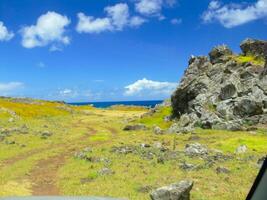 nature of Easter Island, landscape, vegetation and coast. photo