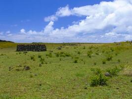 nature of Easter Island, landscape, vegetation and coast. photo