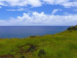 nature of Easter Island, landscape, vegetation and coast. photo