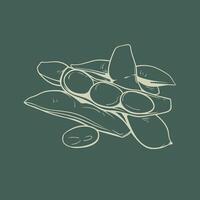 Minimalist Edamame Pod and Bean Illustration vector