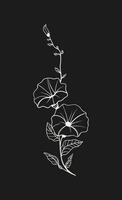Minimalist floral illustration of a morning glory flower, with a focus on clean lines and simple shapes vector
