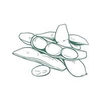 Simple Line Art of Edamame Beans and Pods vector