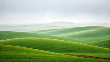 Simplicity of rolling green hills under fog scenic landscape nature photography calm environment serene viewpoint photo