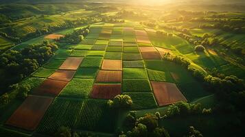Aerial view of a patchwork of green and brown fields at sunset. photo