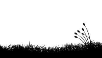 natural concept background, abstract silhouette of wild plants and grass, white background with copy space vector