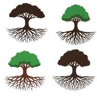 Detailed Roots Tree Vectors Collection for Creative Use