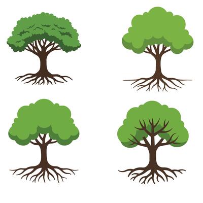 Roots Tree Vectors Set with Lush Green Canopies