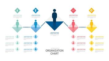 organization chart Infographic template for with business avatar icons. illustration. vector