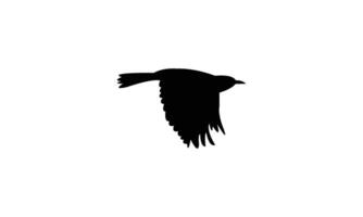 Flying Warbler Bird Silhouette Design And Illustration. vector