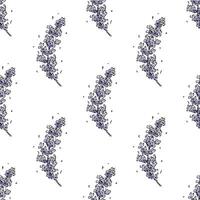 Seamless pattern with lavender flowers for decorative print, wrapping paper, greeting cards, wallpaper and fabric vector