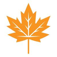 Vibrant Maple Leaf Isolated Against White vector