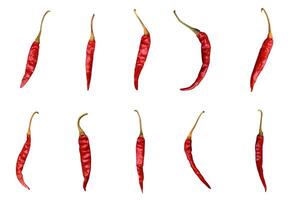 Red hot chili peppers collection isolated on white background. Realistic photo