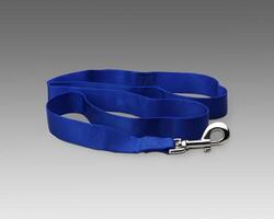 Blue leash on a gray background photo