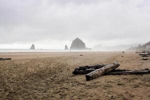 A beach with logs and a rock formation photo