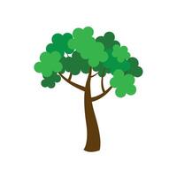 Green spring tree isolated. vector