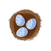 Bird eggs inside nest flat icon. vector