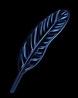 This glowing blue feather design highlights its curves and intricate texture beautifully vector