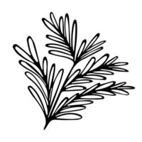 Detailed representation of a bush plant with distinctive leaf shapes and organic forms. vector