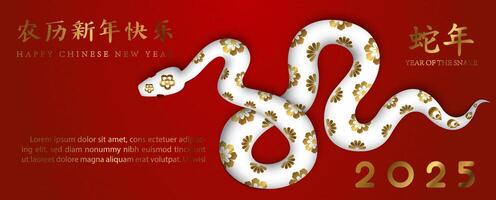 Chinese New Year 2025 greeting card and poster banner with white snake in 3d style on red background. Chinese letters is meaning Year of the snake and Happy Chinese New Year in English. vector